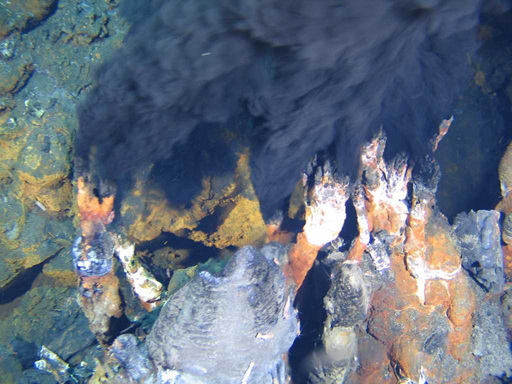 蛟龙,科考任务,热液流体,载人潜水器,作业性能 蛟龙,科考任务,热液流体,载人潜水器,作业性能